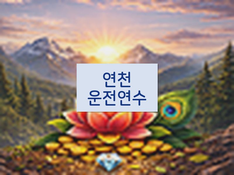 연천운전연수 후기