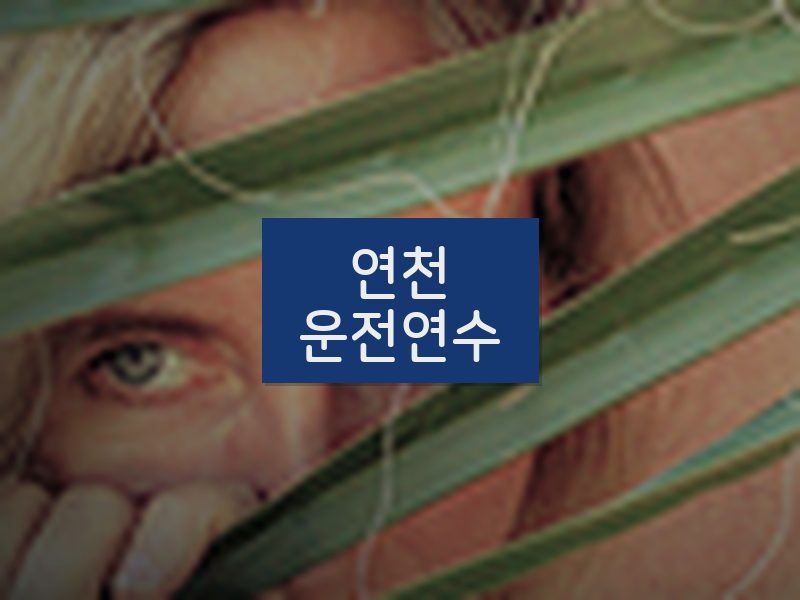 연천운전연수 후기