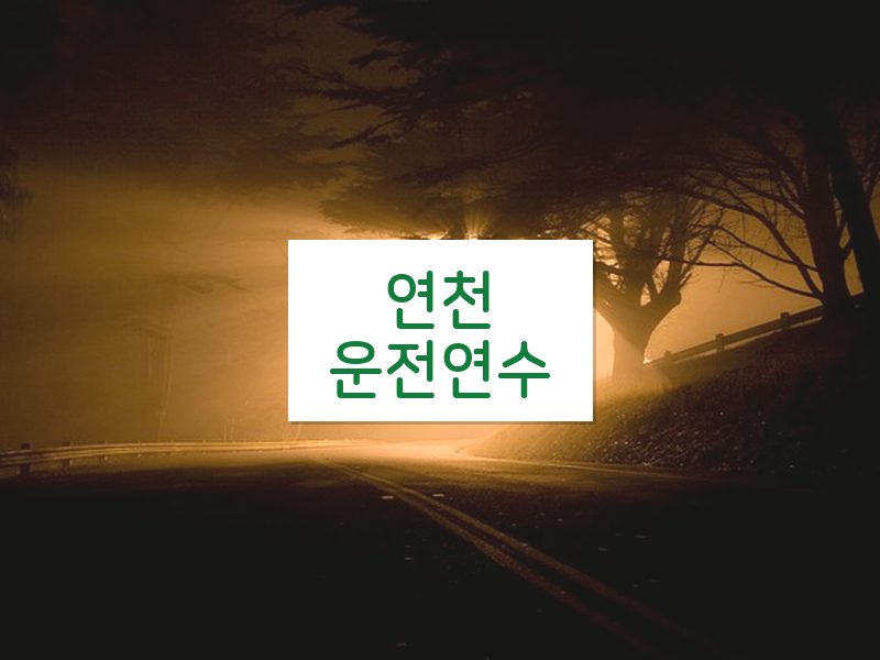 연천운전연수 후기