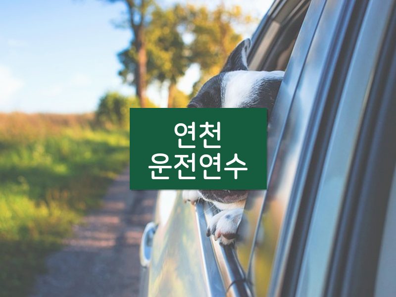 연천운전연수 후기