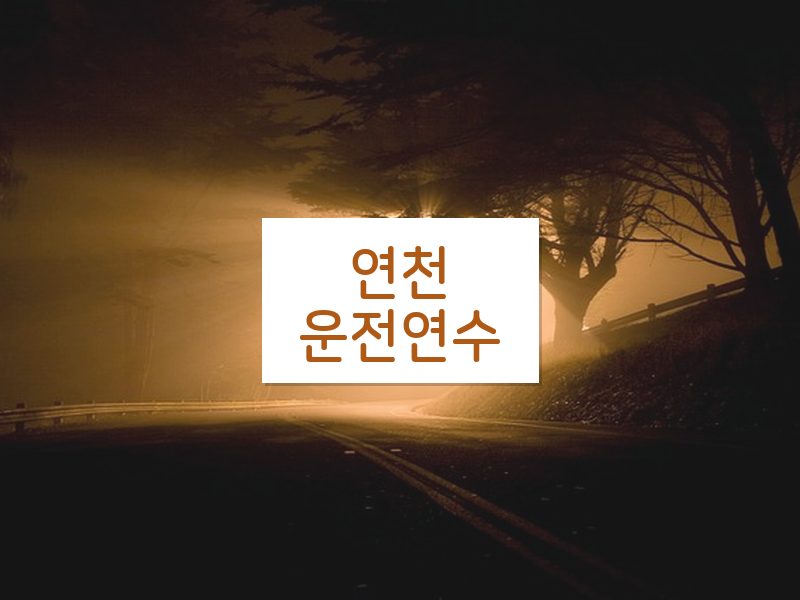 연천운전연수 후기