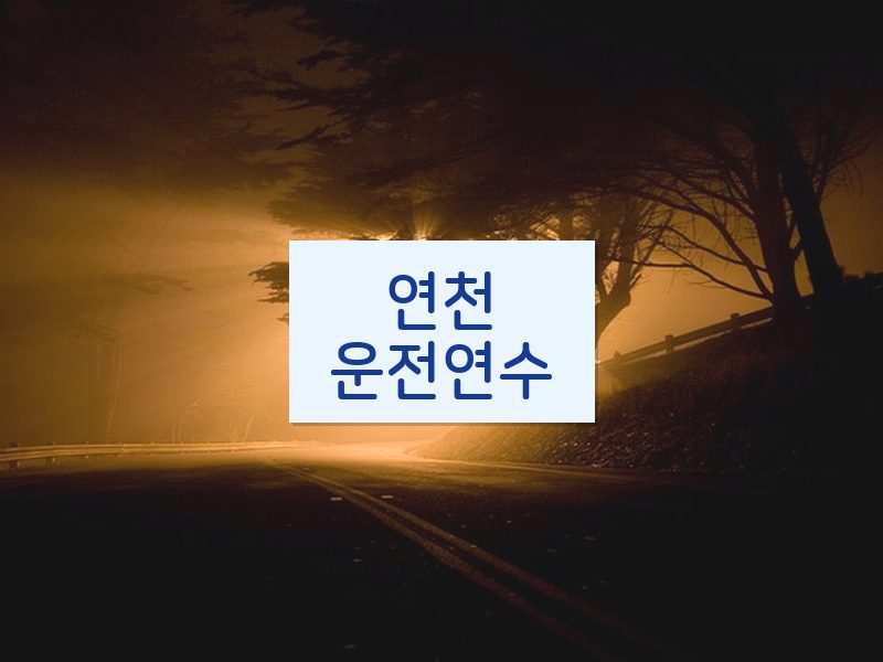 연천운전연수 후기