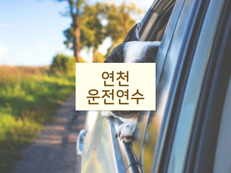 연천운전연수 후기