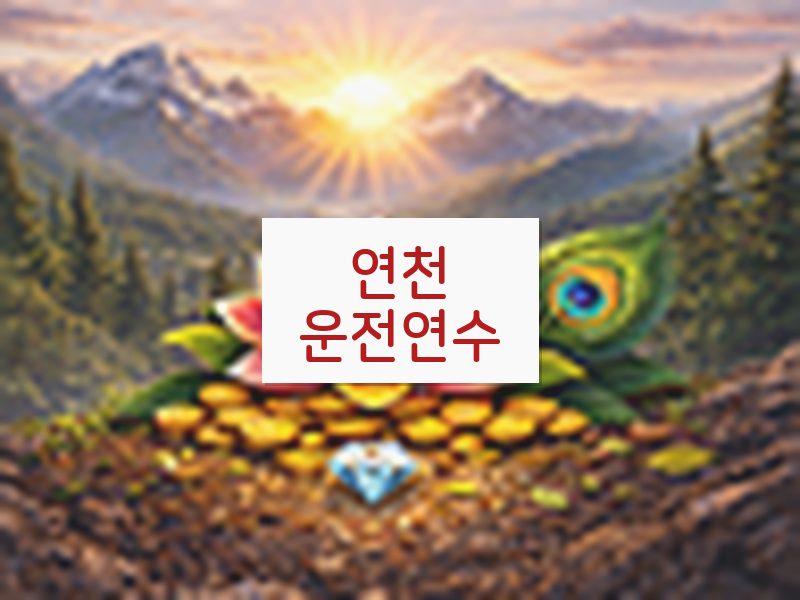 연천운전연수 후기