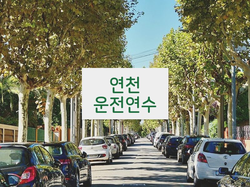 연천운전연수 후기