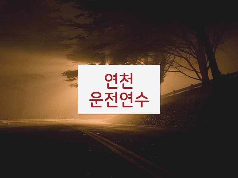 연천운전연수 후기
