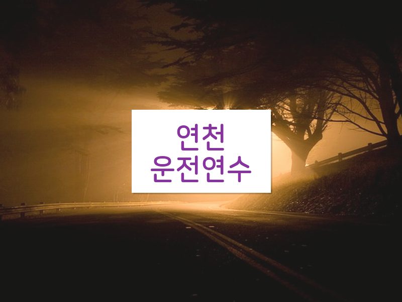 연천운전연수 후기