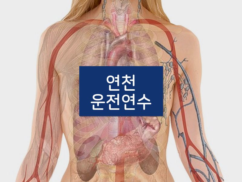 연천운전연수 후기