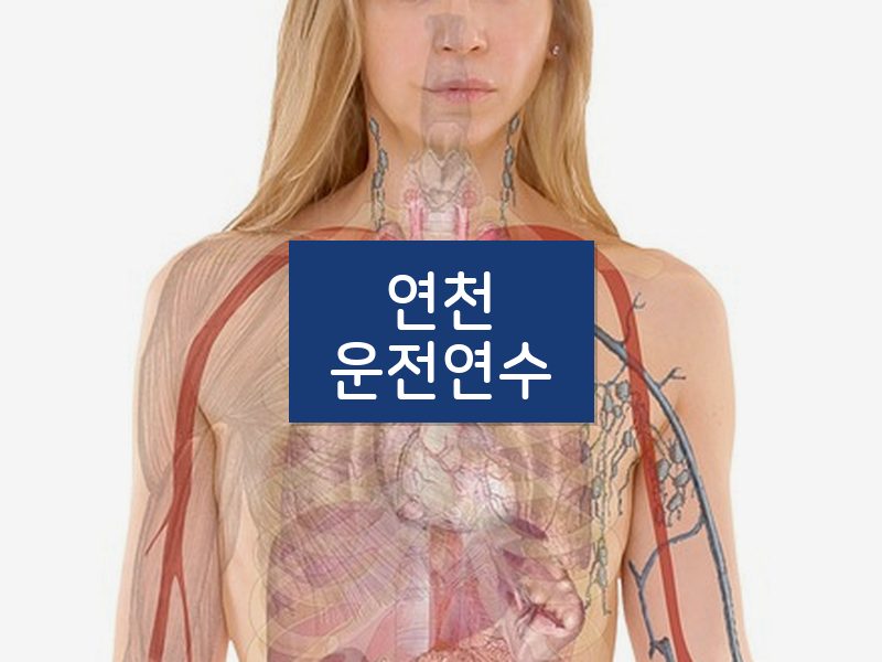 연천운전연수 후기