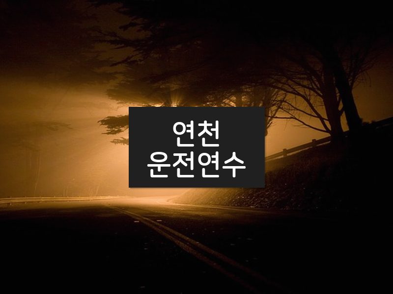 연천운전연수 후기