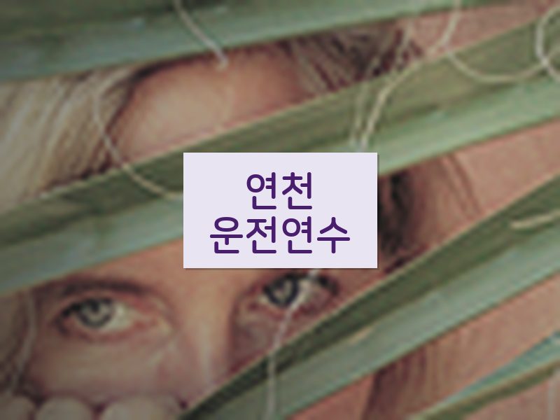 연천운전연수 후기