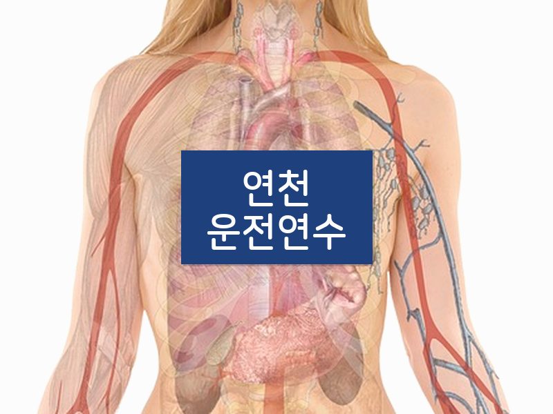 연천운전연수 후기