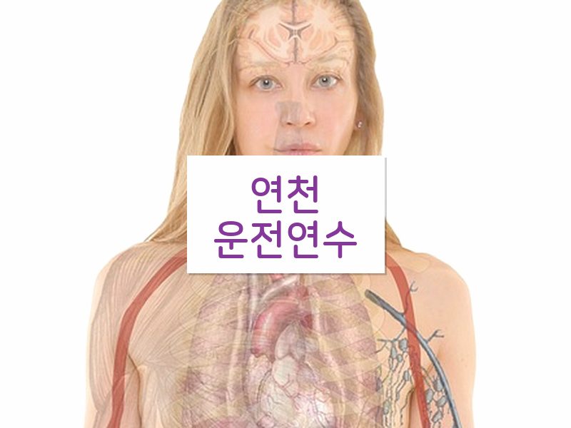 연천운전연수 후기