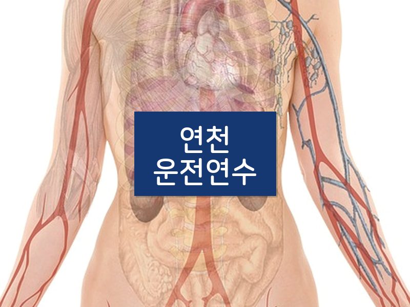 연천운전연수 후기
