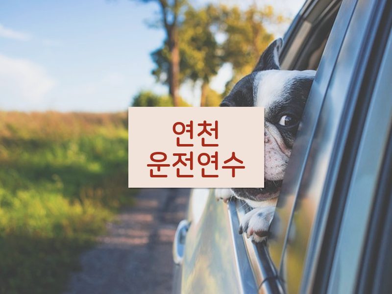 연천운전연수 후기