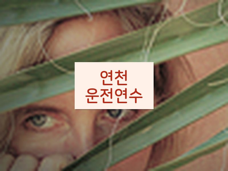 연천운전연수 후기
