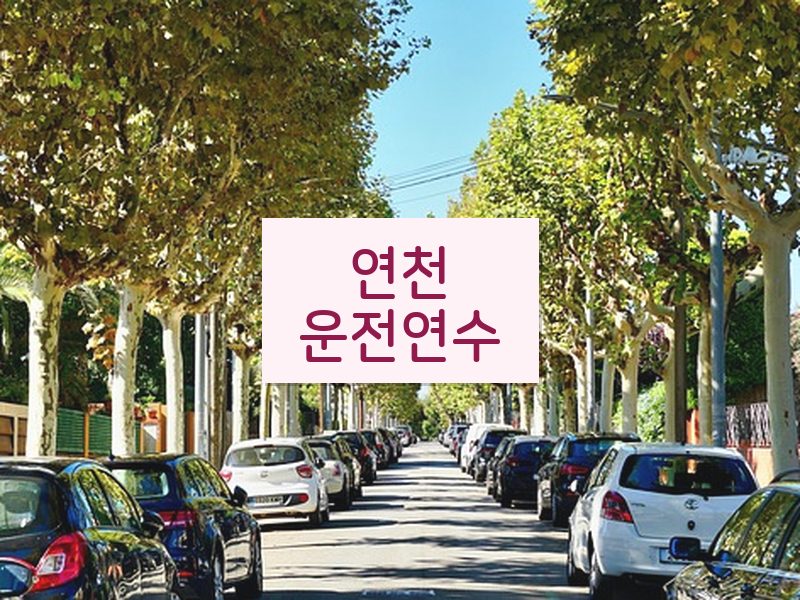 연천운전연수 후기
