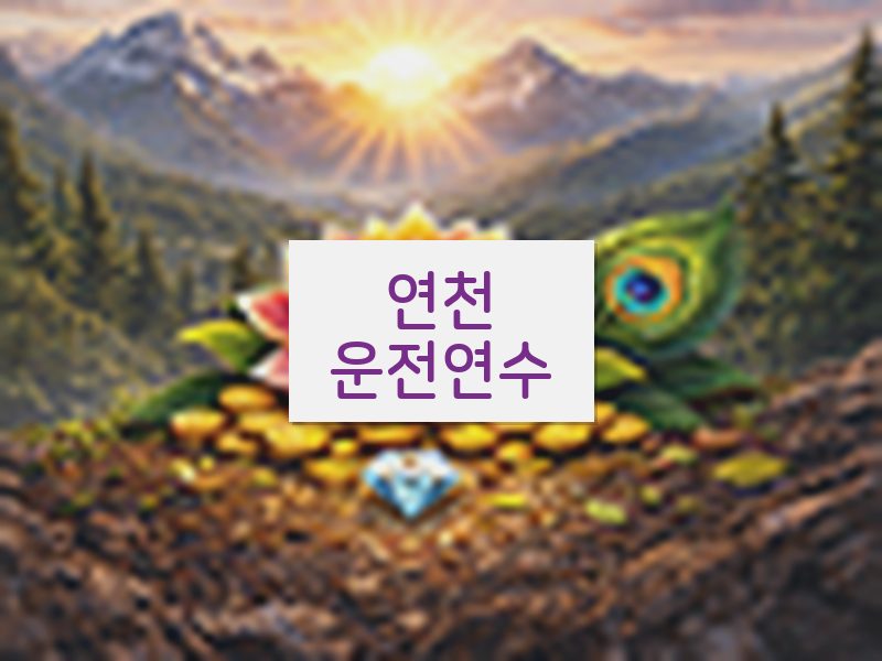 연천운전연수 후기