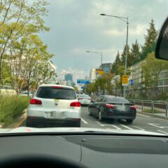 운전 배우는 건 운좋은 일