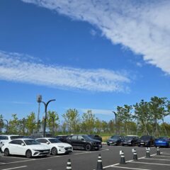 육아맘 운전 도전기 후기 이미지