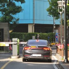 이동의 자유를 얻었어요