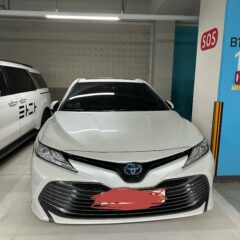 인생이 편해졌어요