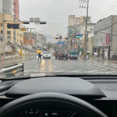 이사 후 동네 적응