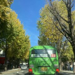 연천산 하루 산책 연수