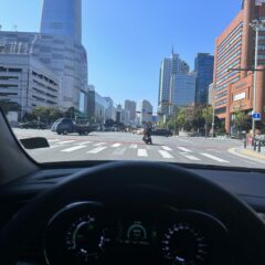 2주 완성 코스 수료