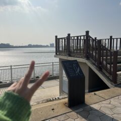 고속도로 연수 후기 후기 이미지