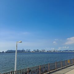 밤에 운전하는 건 정말 무섭다!