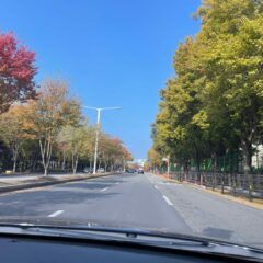 용기 내길 잘했어요