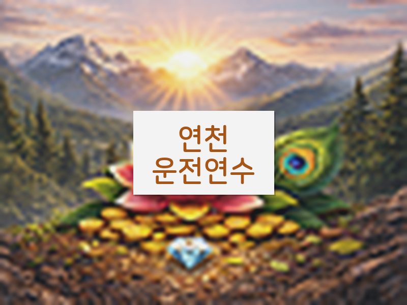 연천운전연수 후기