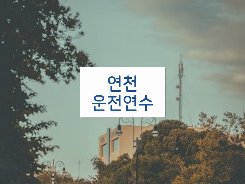 연천운전연수 후기