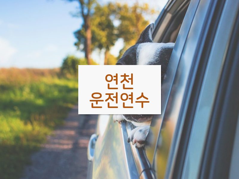 연천운전연수 후기