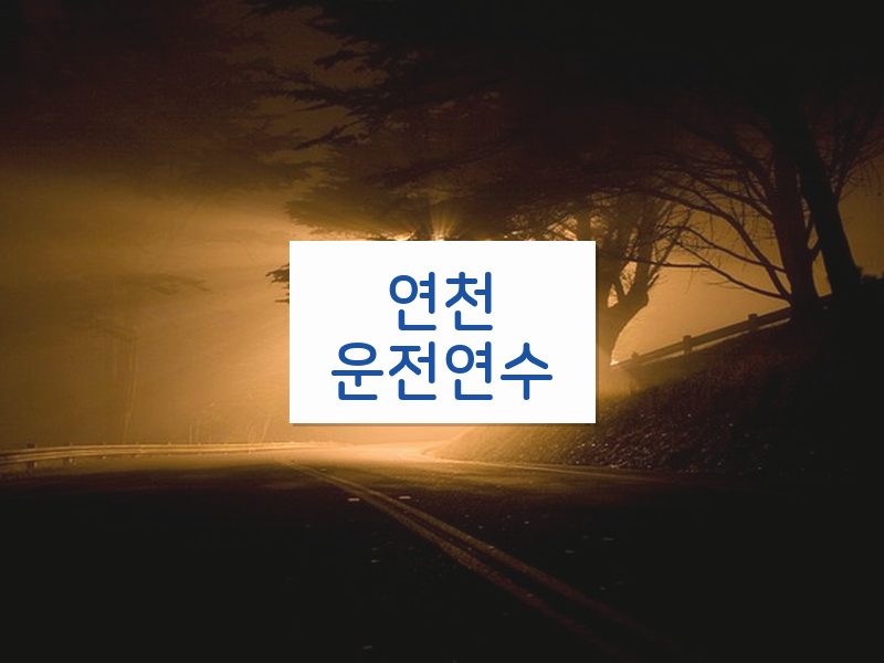 연천운전연수 후기