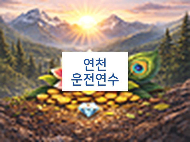 연천운전연수 후기