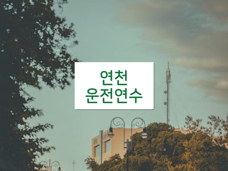 연천운전연수 후기