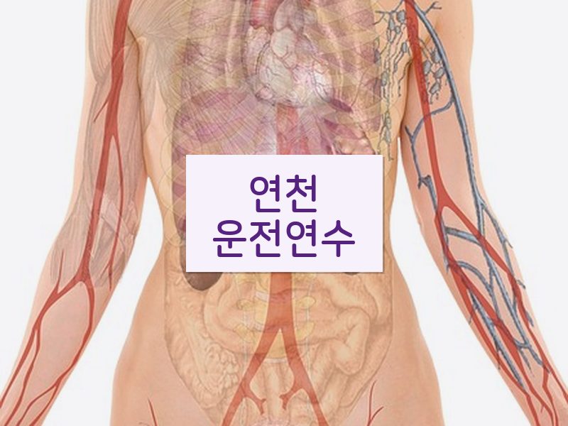 연천운전연수 후기
