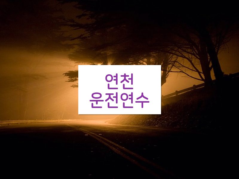 연천운전연수 후기