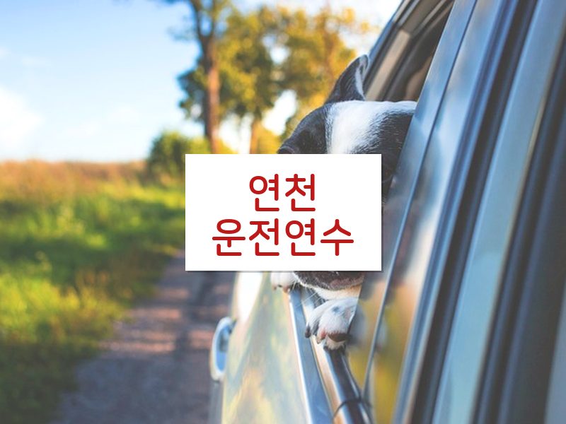 연천운전연수 후기
