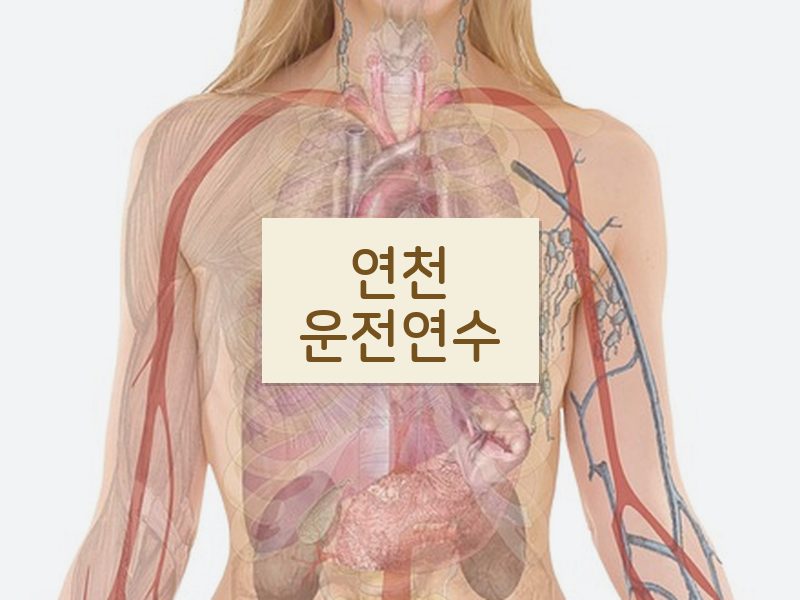 연천운전연수 후기
